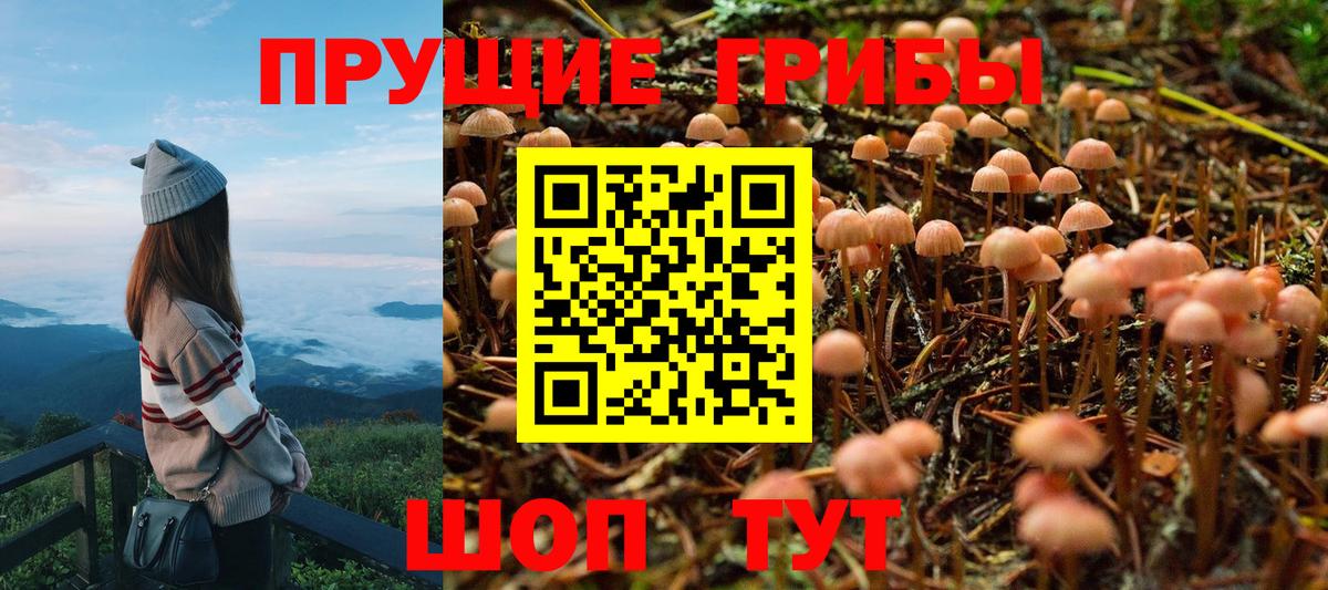 Галлюциногенные грибы Psilocybe  дарнет шоп  Галлюциногенные грибы ЛСД  Новодвинск  Вход с VPN 