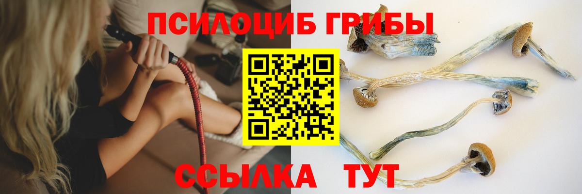 МЕТАМФЕТАМИН Новодвинск