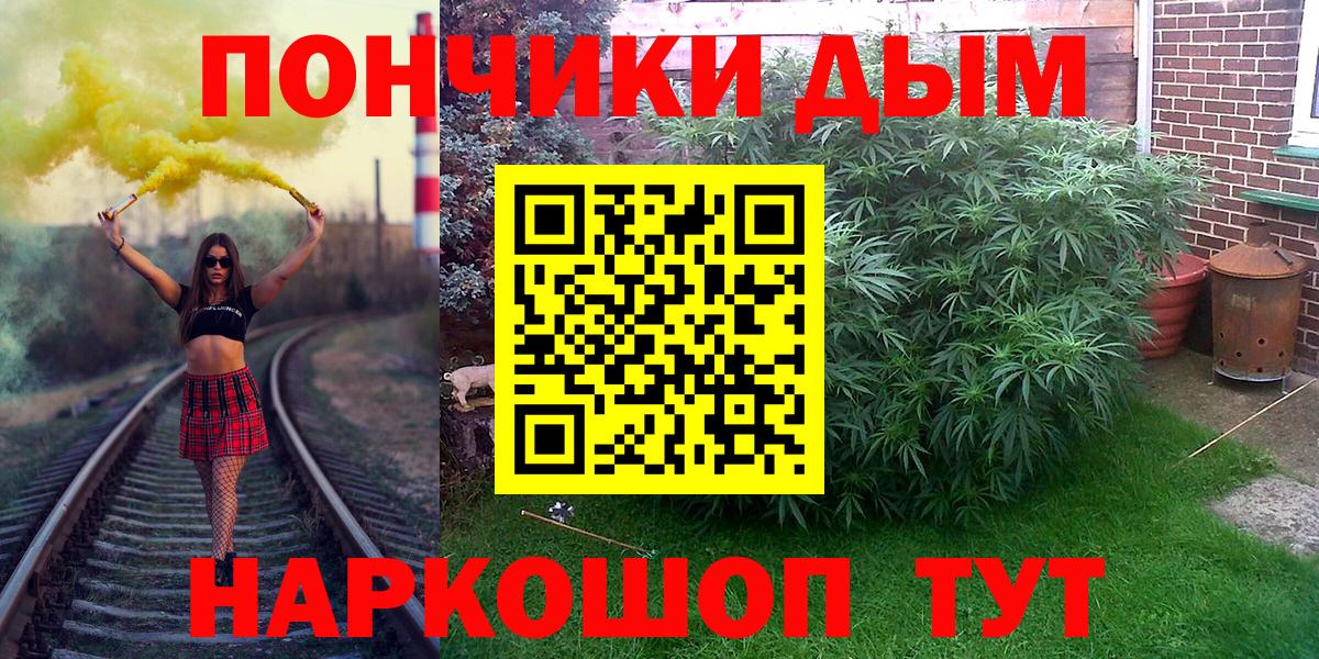Марихуана сатива  Вход с VPN  Новодвинск  Каннабис индика 